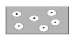 Cotton Cross section