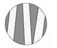 Polyester longitudinal