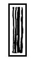 Rayon longitudinal