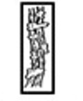 Silk longitudinal