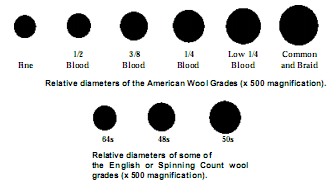 Wool grading